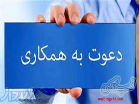 درآمد همزمان از دو حوزه؛خدمات دیجیتال مارکتینگ   بیمه   