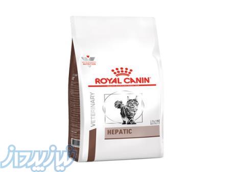 غذا خشک درمانی گربه رویال کنین مدل هپاتیک (2 کیلوگرم) 