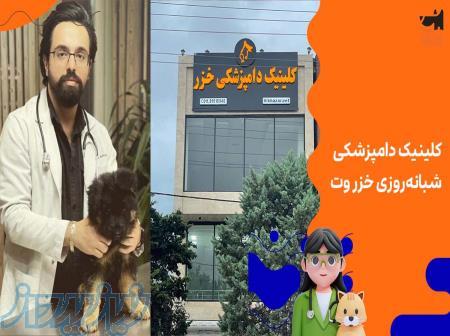 کلینیک دامپزشکی در ساری - خزر وت 