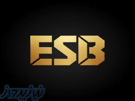 تعمیر تخصصی ماشین‌آلات صنعتی و اداری   ESB 