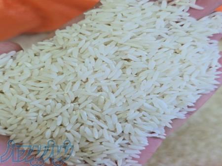 برنج هاشمی اصل گیلان  برنج ایرانی 