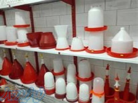 دانخوری و آبخوری 