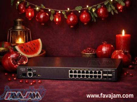 فاواجم تأمین‌کننده‌ی انواع سوئیچ‌های Cisco می‌باشد  