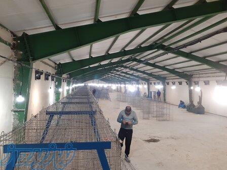 قفس منبری و باتری 