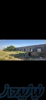 فروش زمین مرغداری دو هکتاری واقع در زاویه 