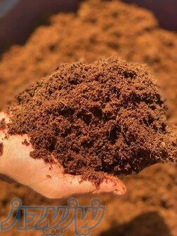 نیدشت کوکوپیت 