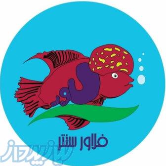 فروشگاه اینترنتی فلاور سنتر 