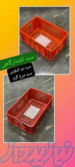 سبد دو کیلویی مرغ ؛سبد پروتئینی ؛سبد گوشت 