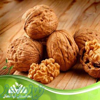 نهال گردو اقتصادی؛ سرمایه‌گذاری مطمئن برای باغداران 