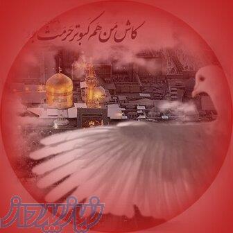 تورمشهد مقد ازدم قسط 