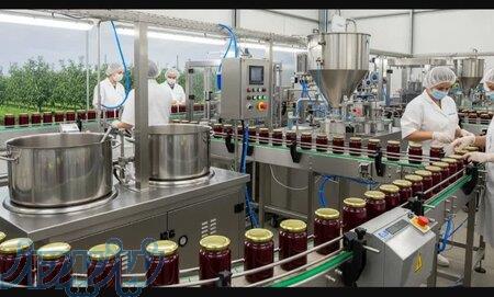 فروش کارخانه تولید مربا در استان گیلان 