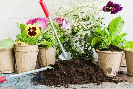 خدمات باغبانی در قیطریه