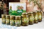 تولید ، فروش ، صادرات و خرید خیارشور ، شوریجات و ترشیجات جلوه ، زیتون 