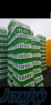 قفس حمل مرغ  زنده 