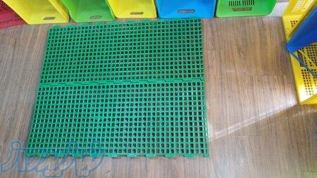 اسلت دامداری و مرغداری 