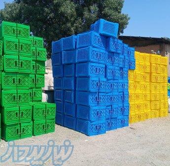 سبد کشتارگاهی مرغ و ماهی 