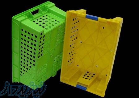 سبد خرگوشی یا میگو 