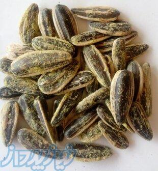 فروش عمده طعم دهنده  پودری لیمویی فریر با بهترین کیفیت 