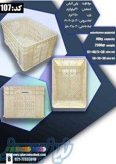 سبد ماهی؛باسکت ماهی 