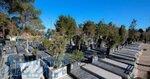 فروش قبر ۲۰ ساله به علت نیاز مالی قطعه ۲۲۹ بهشت زهرا تهران جای دنج 