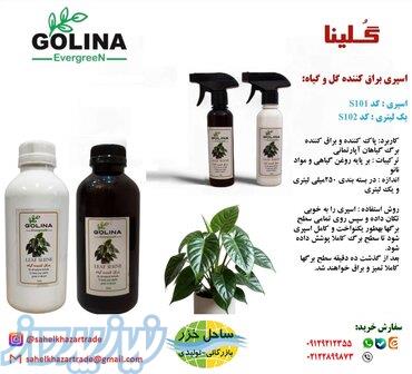 اسپری براق کننده و پاک کننده گلینا 