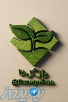 نجات گیاهان شما توسط راز گل ها 