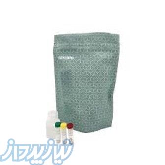 کیت اندازه گیری فعالیت SOD 