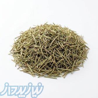 رزماری اعلا 