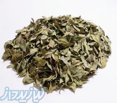 برگ مورد 