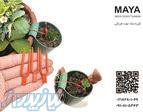 گیره نشاء توت فرنگی 