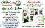 انواع بذر 