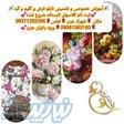 آموزشگاه قالیبافی خانه فرش 