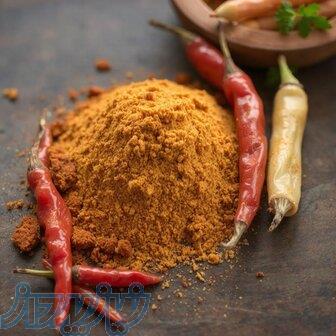 ماسالا فریر؛ طعمی گرم و خاص با تکنولوژی دانش‌بنیان 