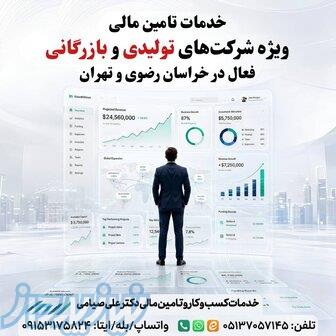 خدمات تامین مالی ویژه شرکتهای تولیدی و بازرگانی 