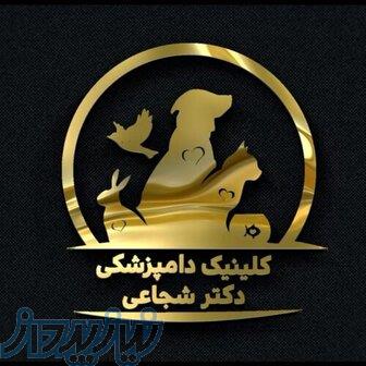 دامپزشک در خوانسار   پانسیون حیوانات خانگی در خوانسار 