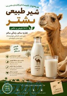 فروش شیر شتر عادل 