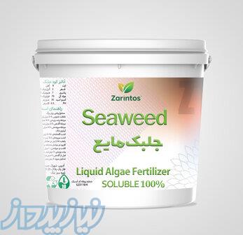 کود کامل جلبک مایع سطل ۲۰ لیتری 