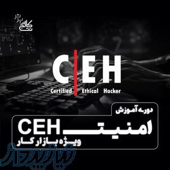 آموزش هکر قانونمندCEH   استخدام در نت کالج برتر 