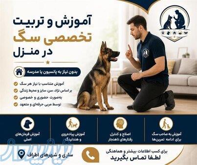 مربی سگ در ساری  آموزش تخصصی سگ   آموزش و تربیت سگ 