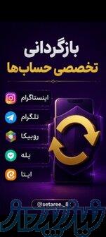 بازگردانی پیج 