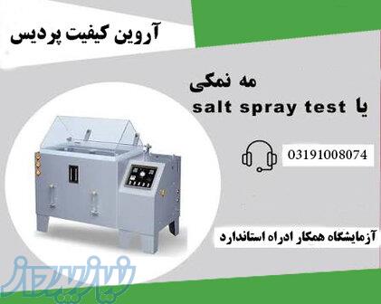 آزمون مه نمکی یا سالت اسپری 