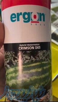 بذر هندوانه ارگون 103 F1 (Crimson 103) 