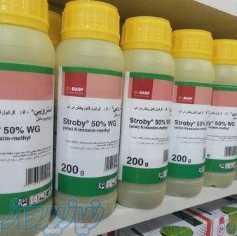 قارچ‌کش استوربی؛ محافظی مطمئن برای سلامت گیاهان 
