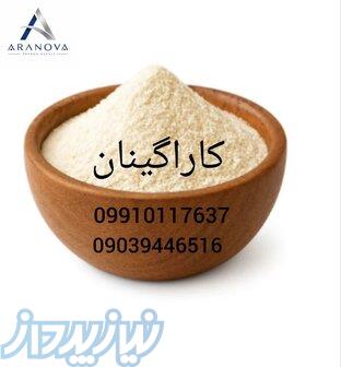 فروش کاراگینان  و تأمین انواع کاراگینان خوراکی   بازرگانی آرانوا وارد کننده کاراگینان 
