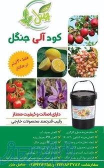 کود آلی جنگل 