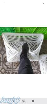 تولید کننده سبد و سطل و گالن پلاستیکی