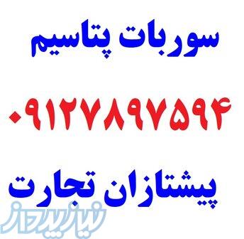 سوربات پتاسیم ضد کپک 