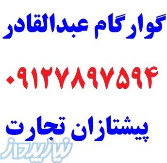 گوارگام - قوام دهنده 