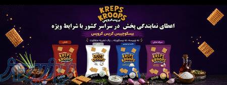 واگذاری نمایندگی پخش مواد غذایی بیسکوچیپس در سراسر کشور 