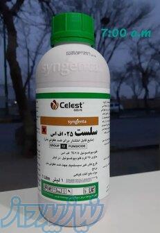 سم سلست 